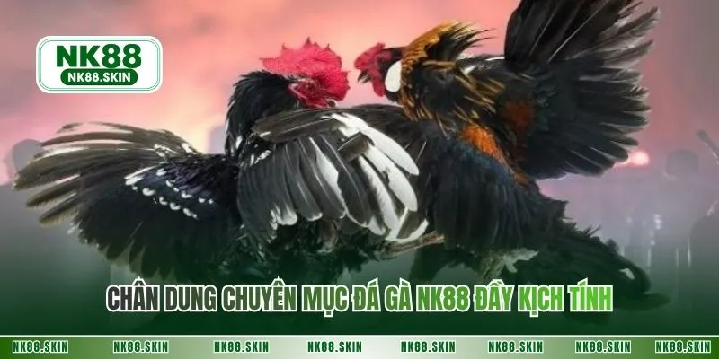 Chân dung chuyên mục đá gà NK88 đầy kịch tính